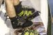EVO Sneakers Drift Black Крепления для вейкборда (Ботинки для вейкборда серии EVO)